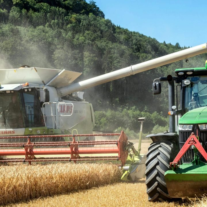 Comercio mayorista de cereales en Águilas Murcia.
